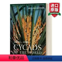 世界各地的苏铁植物 [正版]编织香草 英文原版 Braiding Sweetgrass 植物学 英文版 进口英语原版书籍