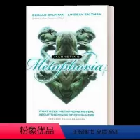 隐喻营销 [正版]这就是营销 直到你学会去看才可能被看到 英文原版 This Is Marketing 市场营销 Set