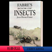 法布尔昆虫记 [正版]华研原版 法布尔昆虫记 英文原版 Fabre's Book of Insects 英文版进口原版英