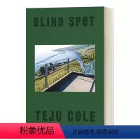 盲点 [正版]英文原版 Where Reasons End 理性终结之处 2020美国笔会图书奖 李翊云 英文版