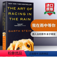 我离开之后 [正版] 我在雨中等你 英文原版小说 The Art of Racing in the Rain 雨中奔跑的