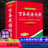 [正版]双色本2024年中小学生万条成语词典大全初中生中学生儿童语文常用实用四字词语中华现代汉语带解释造句多功能速查字