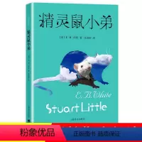 [正版]精灵鼠小弟 EB怀特著 任溶溶译小学生7-10-12-15岁儿童文学世界经典读物一二三四五六年级课外阅读书籍夏