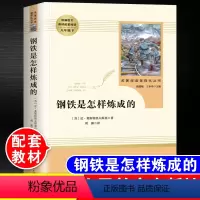 [正版]钢铁是怎样炼成的初中原著人民教育出版社必读课外书八年级下册阅读名著初中初二阅读书籍人教版世界名著读物无障碍和经