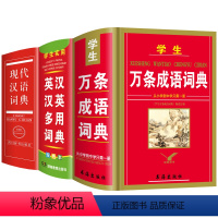 [正版]2024年中小学生现代汉语词典万条成语英汉汉英字典全套3本初中生高中生中学生多全功能工具书中华四字词语大全带解
