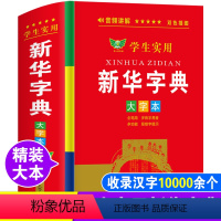 新华字典[带笔顺 学生实用]大本大字 [正版]初中小学生实用字典大字本人教版儿童语文全笔顺笔画部首结构一二三年级组词造句