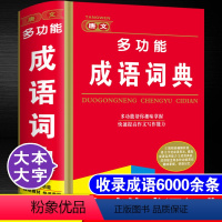 [正版]大本大字2024年初中生小学生多功能成语词典大全人教版儿童语文常用实用四字词语带解释书现代汉语中华万条成语大词