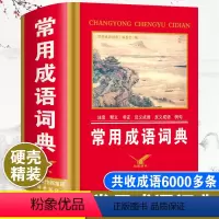 [正版]2024年中小学生常用成语词典人教版儿童语文实用多功能四字词语解释中华现代汉语带解释大全初中生字典成语故事典故