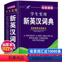 [正版]2024年中小学生实用新英汉词典初中生中学生英汉汉英双解互译多功能英语字典英文词汇单词带解释大全小字典小本便携