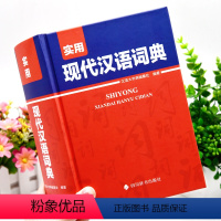 [正版]2024年高中生初中生小学生实用现代汉语词典中学生语文多功能文言文详解四字词语成语解释大全大字典第七版第8全新