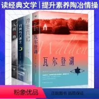 [正版]好书中外文学小说书籍全套4册 人间失格/月亮与六便士/浮生六记/瓦尔登湖 外国小说图书书排行榜文学作品著作书籍