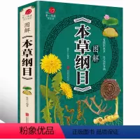 [正版]彩图加厚版本草纲目 李时珍全彩图 图解本草纲目 李时珍著 中医养生书籍大全 中药书中草药书入门医学书籍黄帝内经