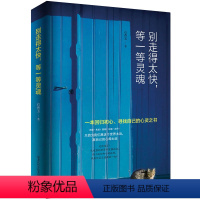 [正版]别走的太快等一等灵魂 回归初心寻找自己的心灵之书 心灵成长作品 青春成功励志书 心灵修养 改变青年的疗愈书籍