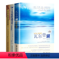 全套三册:瓦尔登湖+八十天环游地球+了不起的盖茨比 [正版]瓦尔登湖+八十天环游地球+了不起的盖茨比全3本世界名著小说文