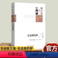 会走路的梦 铁凝散文集 [正版]全套2册汉字奇兵张之路飞向人马座小学生阅读7-14岁青少年成长故事书 月销 5五六年级课