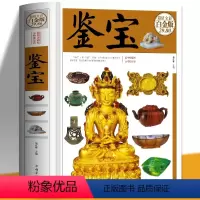 [正版] 鉴宝 古玩珠宝玉石票证商标徽章矿物收藏与鉴赏书籍鉴别技巧鉴定和欣赏实用日常收藏中的书画陶瓷玉器工艺品家具