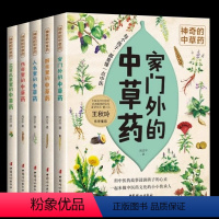 神奇的中草药系列[套装5册] [正版]神奇的中草药系列绘本5册 厨房里的中草药 传奇里的中草药 花草瓜果里的中草药 家门