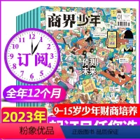 B[全年订阅]2023年1-12月 [正版]2022全年典藏盒装版12本 商界少年杂志2023年1-12月订阅 含创刊号