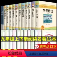 [配套人教版]九年级上下册必读正版12册 [正版]九年级2册 简爱和儒林外史吴敬梓原著完整版阅读初三课外书初中课外阅读书