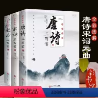 [正版] 全套3册唐诗三百首宋词元曲大全集 中国古诗词鉴赏赏析诗词古代词赋歌全集300首古典文化全彩图解带注释译文解析