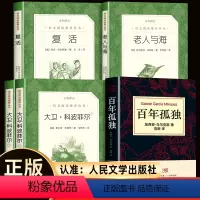 高中必读名著5册 [正版]完整版大卫科波菲尔复活书列夫托尔斯泰老人与海书原著百年孤独全集完整版高一读名著全套高中生课外阅
