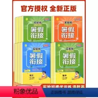 4本:[暑假+预习单]语文+数学 人教版 小学二年级 [正版]2023版实验班提优训练暑假衔接一升二升三四五六年级下册上