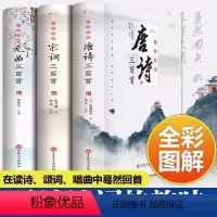 [全3册]唐诗+宋词+元曲 [正版]唐诗宋词元曲三百首全套3册小学生必背古诗词鉴赏大全全唐诗集诗歌注释译文小古文唐诗词典