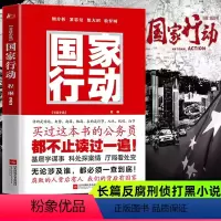 [正版]国家行动程琳著公务员人手一本的自省读物人民的名义同类悬疑推理犯罪惩处腐败同名电视剧原著反腐刑侦打黑除恶官场长篇
