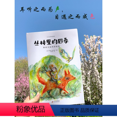 [[精装硬壳2册]一粒种子中的世界+丛林里的四季 [正版]丛林里的四季+一粒种子中的世界意大利教育科普绘本 聆听大自然的