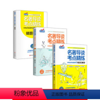 [含36本名著]中考必读名著导读考点精练 [正版]2023新版名著导读考点初中生阅读名著导读与考点中考复习资料中外文学名