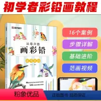 [正版]墨点美术 从零开始画彩铅花鸟乐园初学者入门技法讲解自学手绘教程书