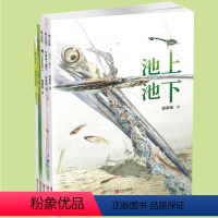 “爱上自然”系列绘本 套装5册 [正版]丰子恺儿童图画书奖获奖作品 爱上自然系列绘本 全5册 张丹丹力荐 给3~8岁孩子