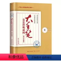 [正版]大手笔是怎样炼成的 语言篇:修订升级版