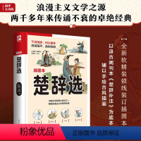 [正版]楚辞选 以汲古阁刊本《楚辞补注》为底本,近百幅原创插图,注释精准,译文绝美,带你重回浪漫的古典中国 !