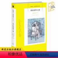 [正版]阿加莎84:烟囱别墅之谜 阿加莎克里斯蒂作品集全集系列84 阿婆笔下神探侦探悬疑推理破案小说经典书籍新星出版社