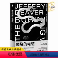 [正版] 燃烧的电缆 杰夫里迪弗著 午夜文库欧美侦探悬疑推理解谜小说书籍 新星出版社神探林肯系列