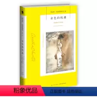 [正版]阿加莎53:金色的机遇(2版) 阿加莎克里斯蒂全集系列53 阿婆神探侦探悬疑推理小说经典书籍新星出版社午夜文库
