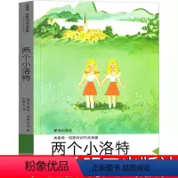 两个小洛特 [正版]两个小洛特四年级课外书明天出版社书籍埃里希凯斯特纳作品典藏6-7-8-10岁儿童文学课外书阅读 赵燮