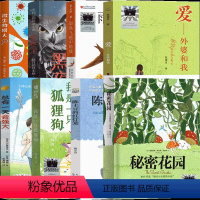 4年级套装8册 [正版]微生物猎人四年级课外书长江文艺出版社雨燕飞越中轴线总有一天会强大陈土豆的红灯笼我是一只狐狸狗黑夜