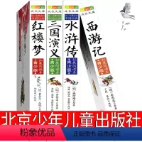 四大名著 [正版]北京少年儿童出版社四大名著西游记三国演义水浒传红楼梦青少年版五年级必读下册小学生版儿童版人民教育原著文