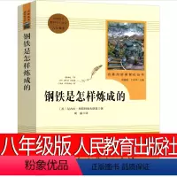 钢铁是怎样炼成的 人民教育出版社 [正版]人民教育出版社钢铁是怎样炼成的初中原著八年级初中生下册原版完整版人民教育书籍刚