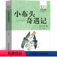 小布头奇遇记 [正版]小布头奇遇记孙幼军二年级三年级一年级小学生必读小布头历险记旅行记课外书阅读书籍儿童读物6-7-8-