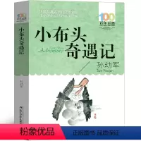 小布头奇遇记 [正版]小布头奇遇记孙幼军二年级三年级一年级小学生必读小布头历险记旅行记课外书阅读书籍儿童读物6-7-8-