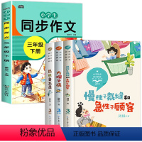 [4册]方帽子店+慢性子裁缝+昆虫备忘录+同步作文 [正版]全套3册 三年级下册必读课外书 昆虫备忘录 汪曾祺著 方帽子