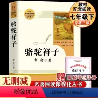 骆驼祥子 [正版]配套人教版骆驼祥子 原著书老舍无删减七年级下册初一7世界名著文学小说书籍初中生必课外书阅读人民教育出版