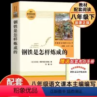 钢铁是怎样炼成的 [正版]钢铁是怎样炼成的初中原著 人民教育出版社经典常谈完整版无删减八年级下册必名著初中生读语文课外书
