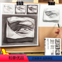 [正版]国美石膏五官素描书头像结构临摹范本人物切面像人头美术生对临入门画册临本考级联考明暗照片素材绘画教程解剖亚历山大
