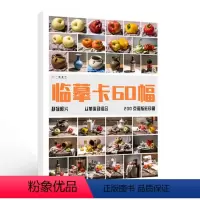 静物照片 [正版]临摹卡静物照片 美术绘画写生参考素材图片美术培训教学60幅唯美文艺小清新精美卡片创意礼物原创作品学习卡