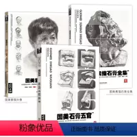 国美素描三件套 [正版]国美素描头像人物石膏五官头像临摹书全集教程范本照片联考高考校考专升本美术生对临面部结构绘画画教学