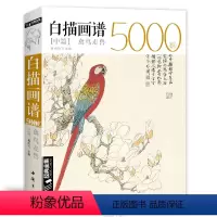 [正版]白描画谱5000例中篇-禽鸟走兽勾线描荷花卉临摹图谱书籍手绘自学零基础初学者技法入门到精通工笔高清底稿成人教程